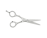 Silver Left Handed Shears - L55 5.5"