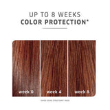 ColorMotion+ Shampoo
